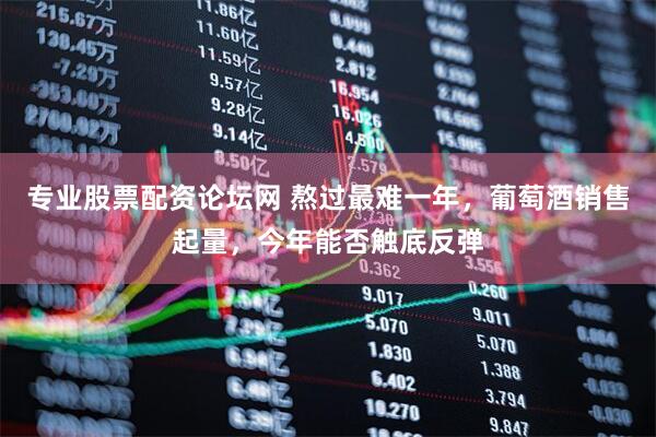 专业股票配资论坛网 熬过最难一年，葡萄酒销售起量，今年能否触底反弹